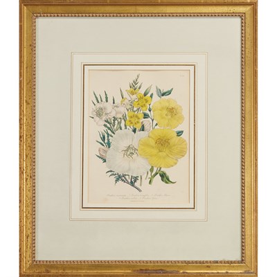 Lot 73 - Various Artists [FLOWER STUDIES] Six...