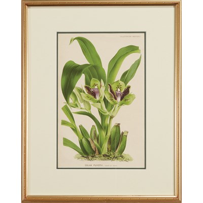Lot 72 - Various Artists [FLOWER STUDIES] Four...
