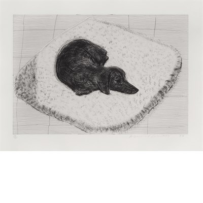 Lot 72 - David Hockney (b.1937) DOG ETCHING NO. 10...