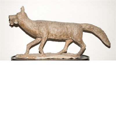 Lot 475 - French Terra Cotta Figure of a Fox 19th...