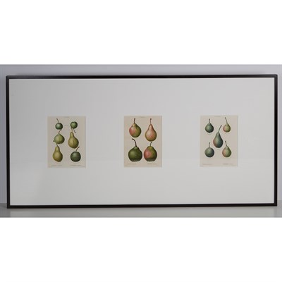 Lot 96 - After Pancrace Bessa [PEAR STUDIES] Three...