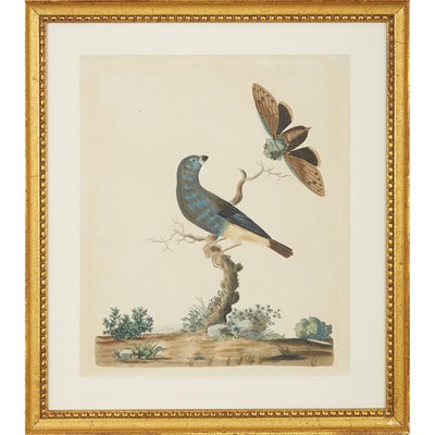 Lot 98 - Peter Brown [BIRD STUDIES] Six hand-colored...