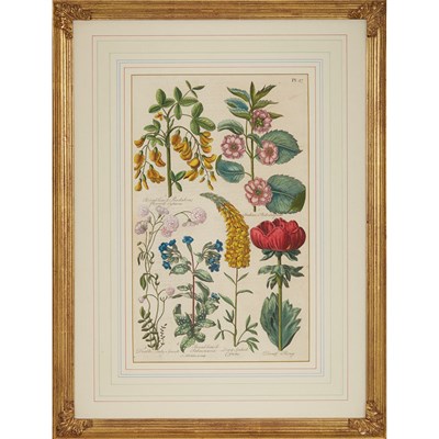 Lot 354 - Sir John Hill (circa 1714-1775) [FLOWER...
