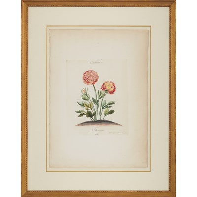 Lot 381 - After George Dionysius Ehret (1710-1770)...