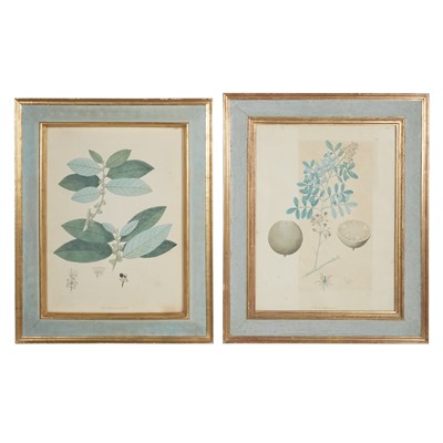 Lot 50 - Various Artists [PLANT STUDIES] Four...