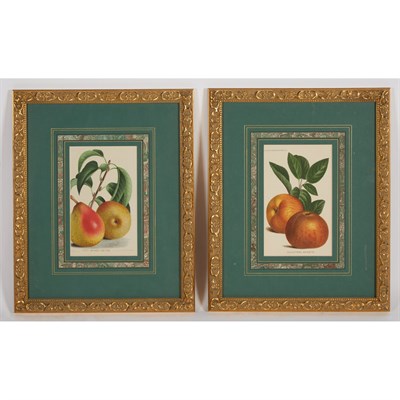 Lot 91 - P. de Pannemaeker [FRUIT STUDIES] Eight...