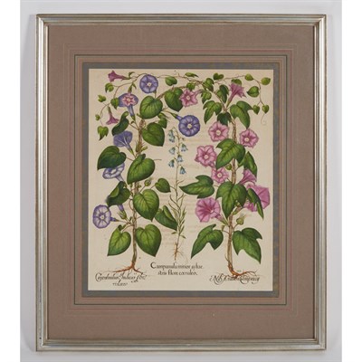 Lot 89 - George Dionys Ehret and Christoph Jakob Trew...