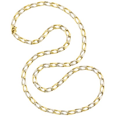 Lot 1018 - Long Two-Color Gold Curb Link Necklace