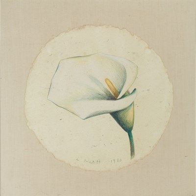 Lot 114 - Lowell Nesbitt American, 1933-1993 White Cala...