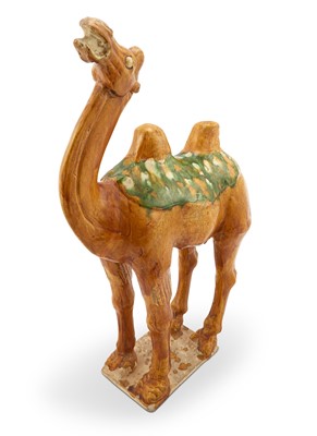 Lot 162 - A Chinese Sancai Glazed Pottery Figure of a Camel