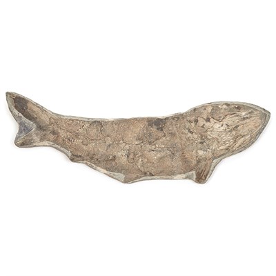 Lot 1112 - Paraelops Cearensus Fish Ciera, Brazil,...