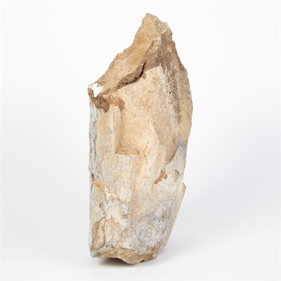 Lot 1099 - Camarasaurus Dinosaur Bone Hanksville, Utah,...