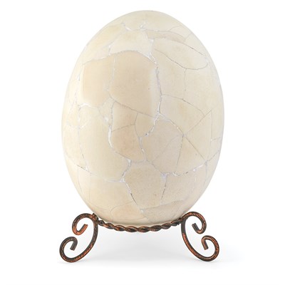 Lot 1123 - Aepyornis Elephant Bird Egg Madagascar Man ate...