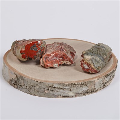 Lot 1126 - Yellow Cat Petrified Wood/Red Wood Bushy Basin...