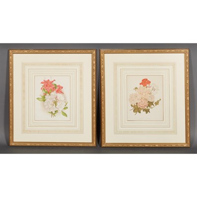 Lot 48 - Artist Unknown IVY LEAVED PELARGONIUMS; NEW...