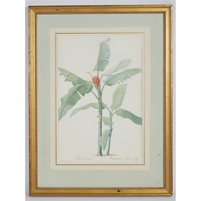 Lot 150 - After Pierre-Joseph Redoute (1759-1840)...
