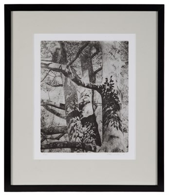 Lot 113 - Peter Miller THE BRAMBLE; OGATAMA-2 Two...
