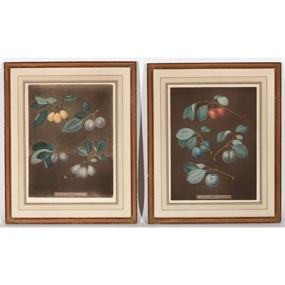 Lot 98 - George Brookshaw [PLUMS] Two hand-colored...
