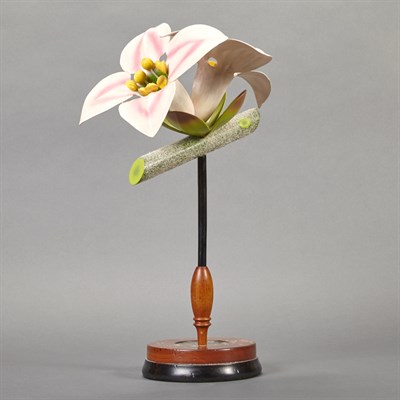 Lot 588 - Botanical Study Model of a Flower Height 15...