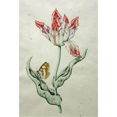 Lot 52 - Attributed to Anthony Claesz. A Red and White...