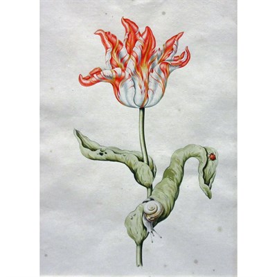 Lot 53 - Attributed to Anthony Claesz. An Orange and...