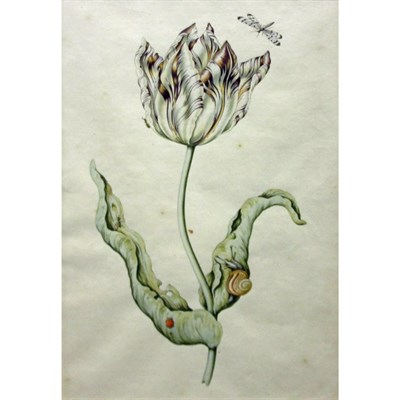 Lot 54 - Attributed to Anthony Claesz. A Lavender and...