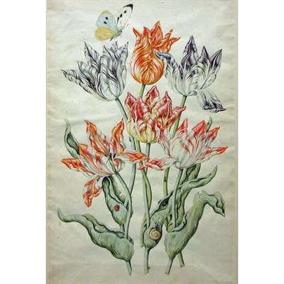 Lot 51 - Attributed to Anthony Claesz Six Multicolored...