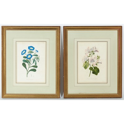 Lot 101 - A. Charal [FLOWER STUDIES] Four hand-colored...