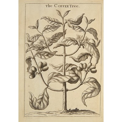 Lot 108 - [COFFEE] BRADLEY, R.[ICHARD]. The virtue and...