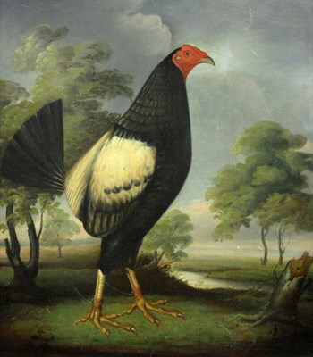 Lot 86 - Manner of Hilton Lark Pratt Rooster Facing...