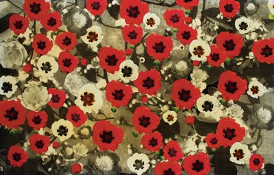 Lot 43 - Peter Dayton American, b. 1955 Untitled, 2004...
