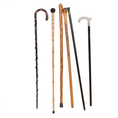 Lot 323 - Group of Fourteen Walking Sticks and Canes