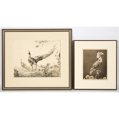Lot 165 - Edward Julius Detmold COCKATOO; PEACOCKS An...