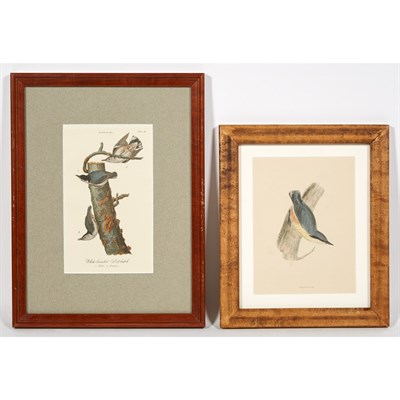 Lot 157 - After John James Audubon BAY-WINGED BUNTING;...