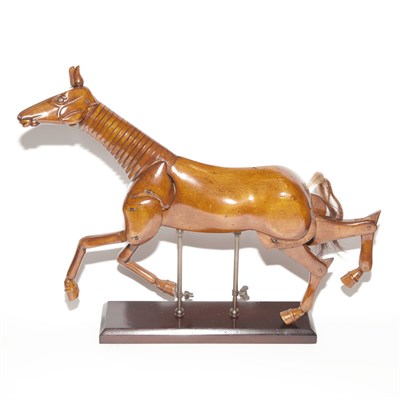 Lot 604 - Artist's Style Stained Wood Anatomical Horse...