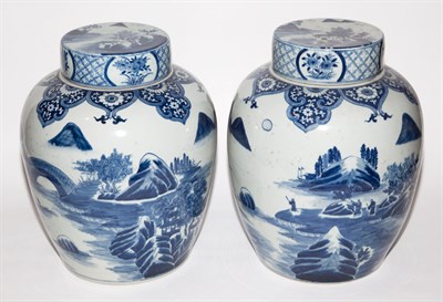 Lot 309 - Pair of Chinese Blue and White Porcelain...
