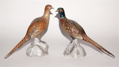 Lot 452 - Pair of Spode Copeland's Figures of Pheasants...