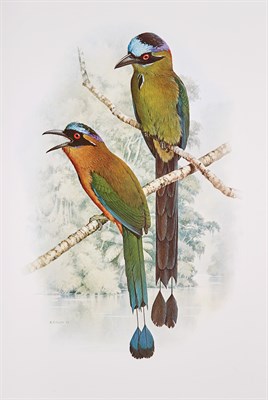 Lot 280 - [COLOR PLATE] FORSHAW, JOSEPH MICHAEL and...