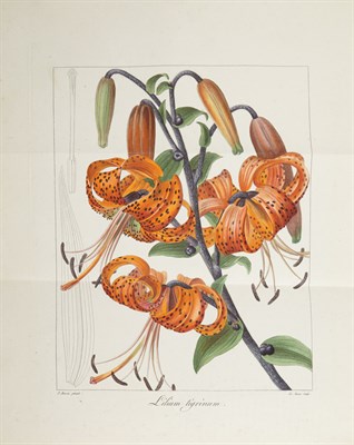 Lot 275 - MORDAUNT DE LAUNAY, JEAN CLAUDE MICHEL and...