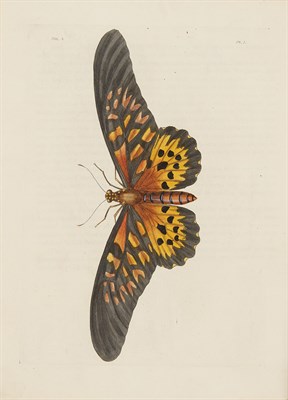 Lot 274 - DRURY, DRU [WESTWOOD, J.O.-editor]...