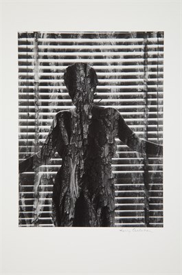 Lot 520 - CALLAHAN, HARRY (1912-1999) Chicago [Eleanor...