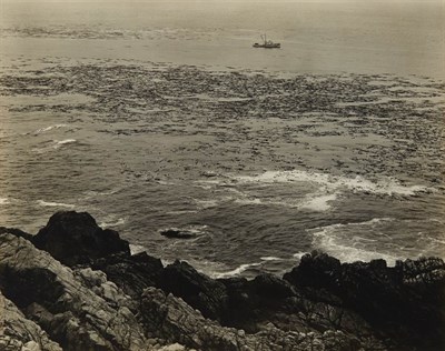 Lot 594 - WESTON, EDWARD (1886-1958) [Rocks, surf and...