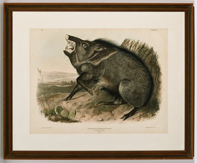 Lot 121 - After John James Audubon THE WOLVERINE;...