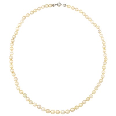 Lot 331 - Natural Pearl Necklace with Platinum, Gold and Diamond Clasp, Marcus