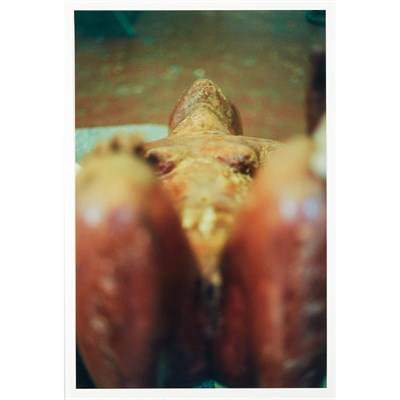 Lot 571 - SMITH, KIKI (b.1954) Two works Comprising...