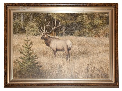 Lot 74 - Richard Plasschaert American, b. 1941 Elk in a...
