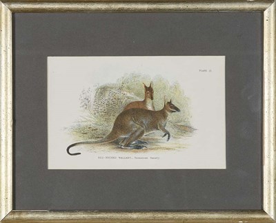 Lot 59 - Moon, Boys & Graves, publishers [HUNTING...