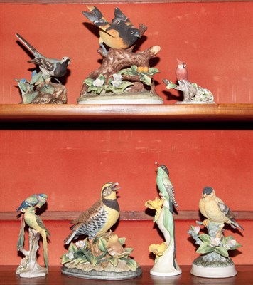 Lot 380 - Group of Seven Porcelain Birds