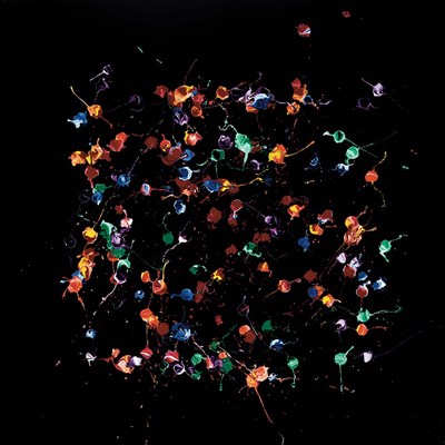 Lot 47 - Ed Cohen American, 20th Century Untitled, 2009...