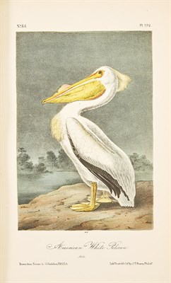 Lot 268 - AUDUBON, JOHN JAMES, and BACHMAN, JOHN The...